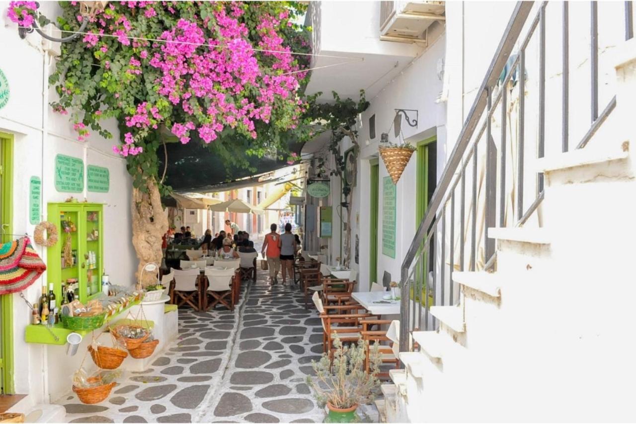 Livadia Seaside Studios 7 Páros Extérieur photo